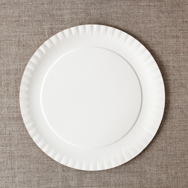 PAPER PLATE (1 PACKET 40 PIECES)